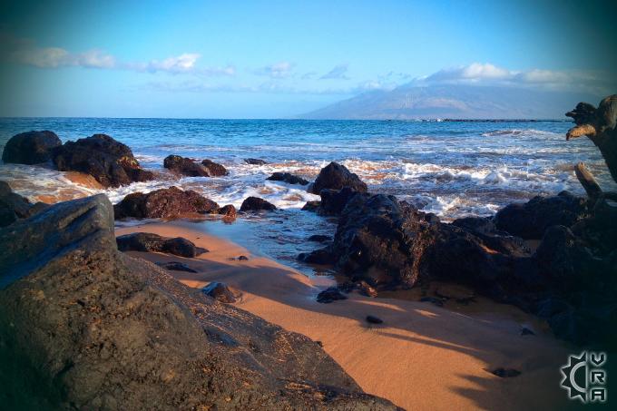 Dog Friendly Shops Hawaii Dog Friendly Shops Hawaii
