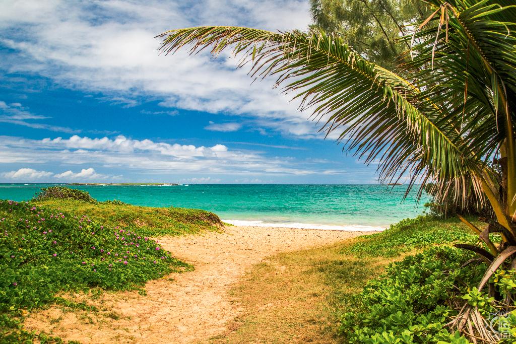 Hukilau Beach in Laie, Oahu, Hawaii Hawaiian Beach Rentals