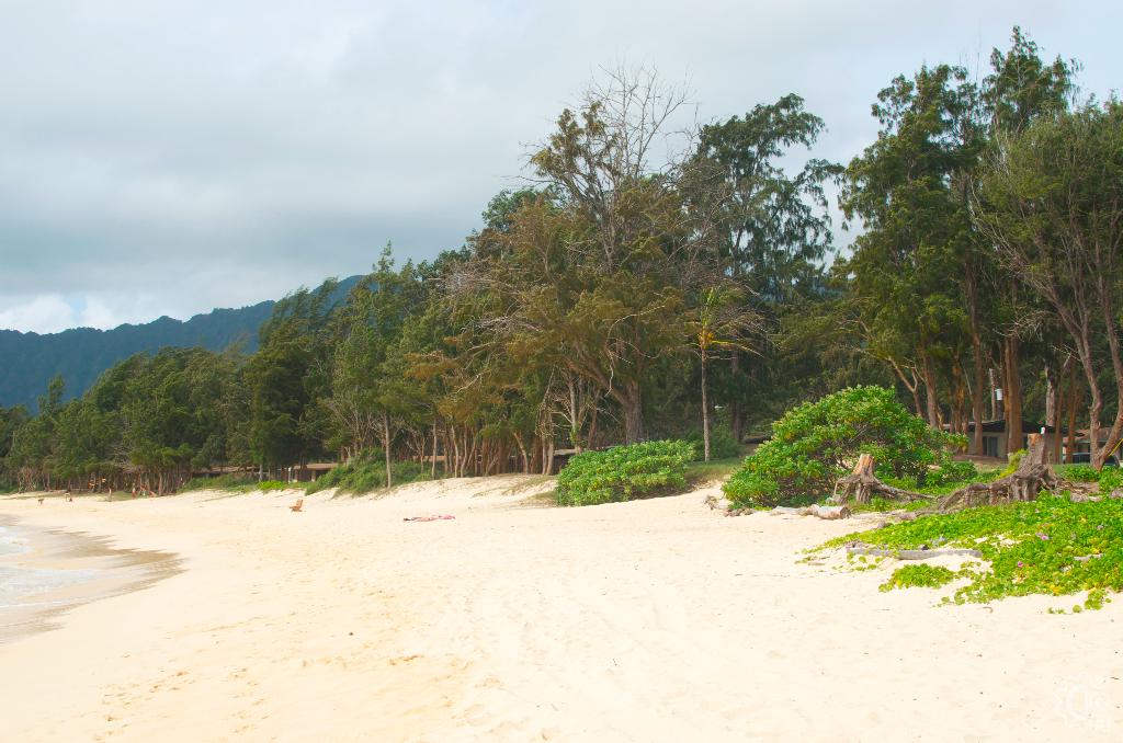 Bellows Beach Park in Waimanalo, Oahu, Hawaii Hawaiian Beach Rentals