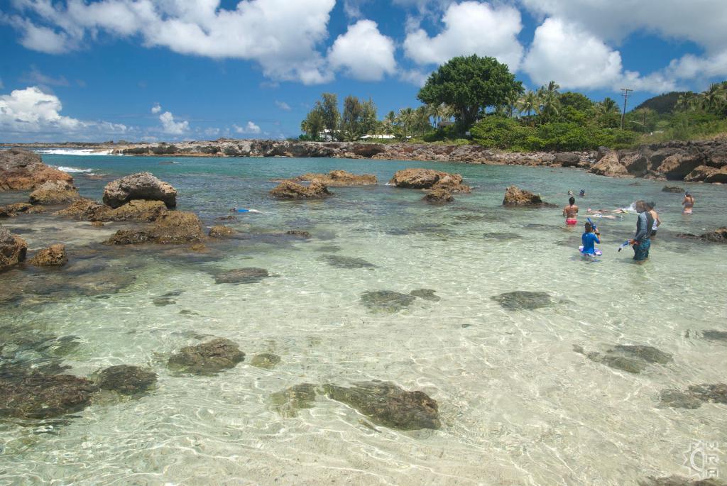 sharks cove pupukea tide pools in haleiwa oahu hawaii tide charts oahu