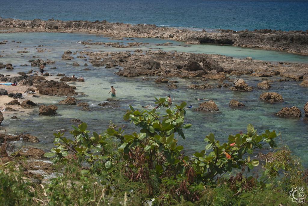 Shark's Cove Pupukea Tide Pools in Haleiwa, Oahu, Hawaii Hawaiian