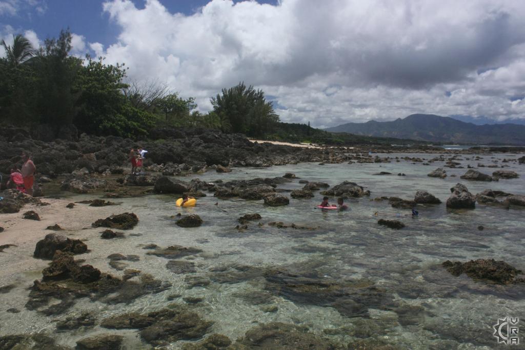 Shark's Cove Pupukea Tide Pools in Haleiwa, Oahu, Hawaii Hawaiian