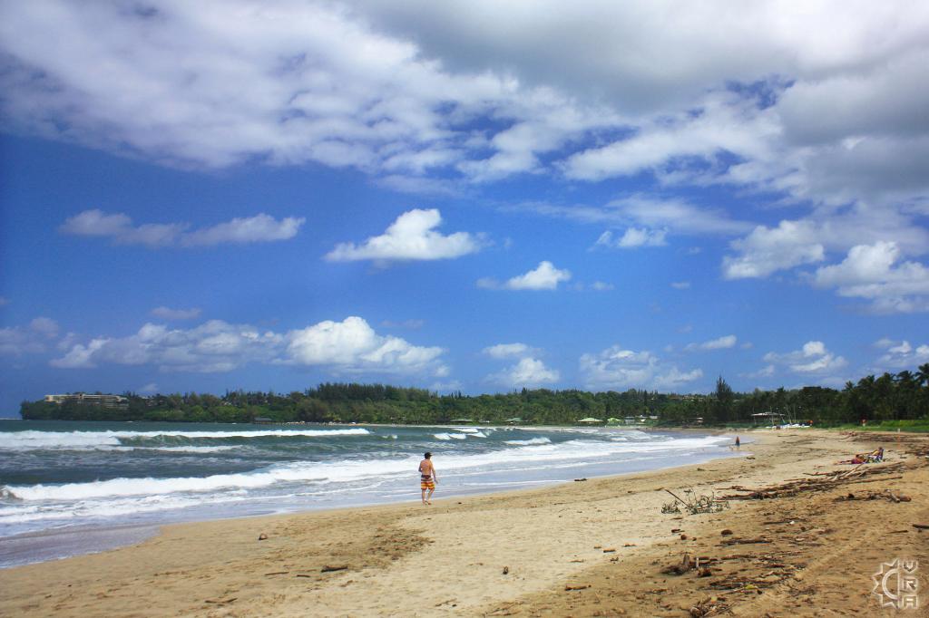 Pine Trees aka Waioli County Beach Park in Hanalei, Kauai, Hawaii