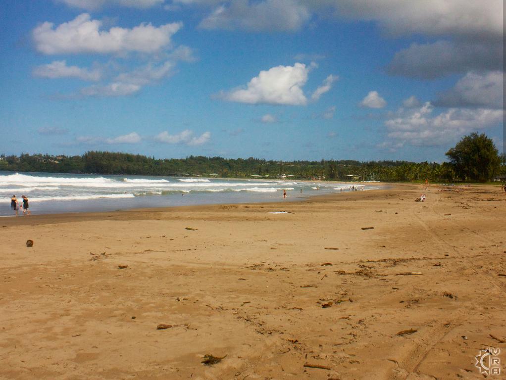 Pine Trees aka Waioli County Beach Park in Hanalei, Kauai, Hawaii