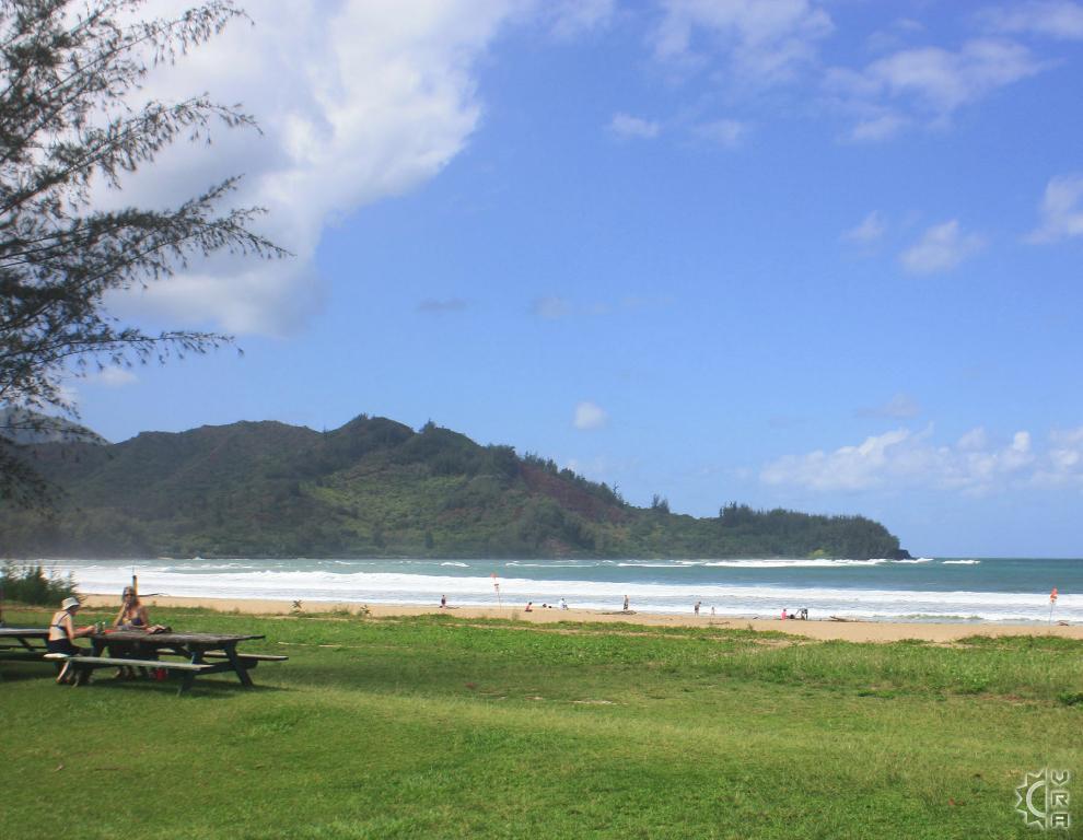 Pine Trees aka Waioli County Beach Park in Hanalei, Kauai, Hawaii