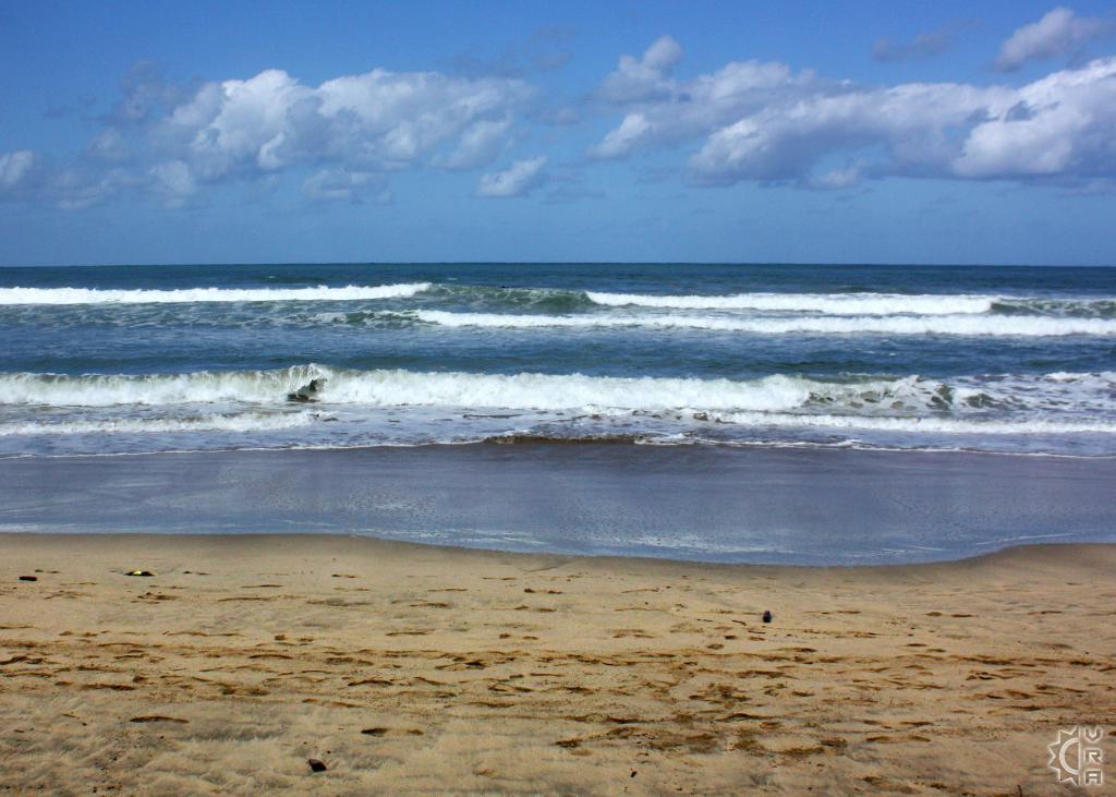 Pine Trees aka Waioli County Beach Park in Hanalei, Kauai, Hawaii