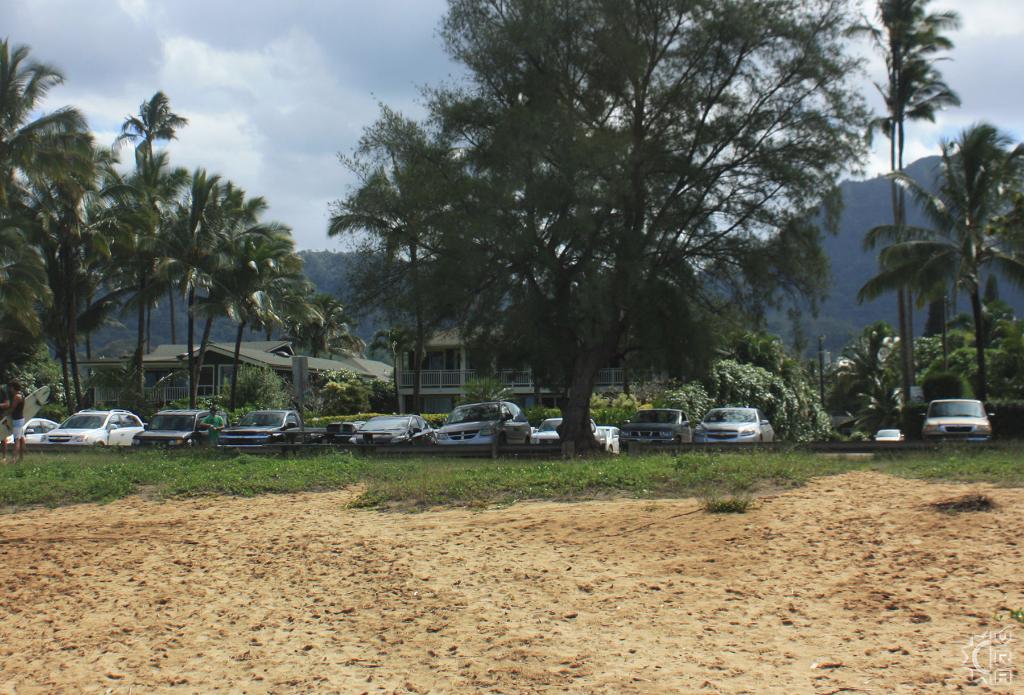 Pine Trees aka Waioli County Beach Park in Hanalei, Kauai, Hawaii