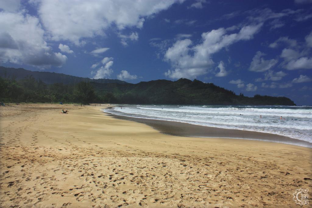 Pine Trees aka Waioli County Beach Park in Hanalei, Kauai, Hawaii
