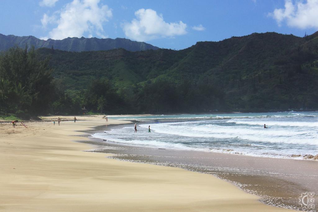 Pine Trees aka Waioli County Beach Park in Hanalei, Kauai, Hawaii