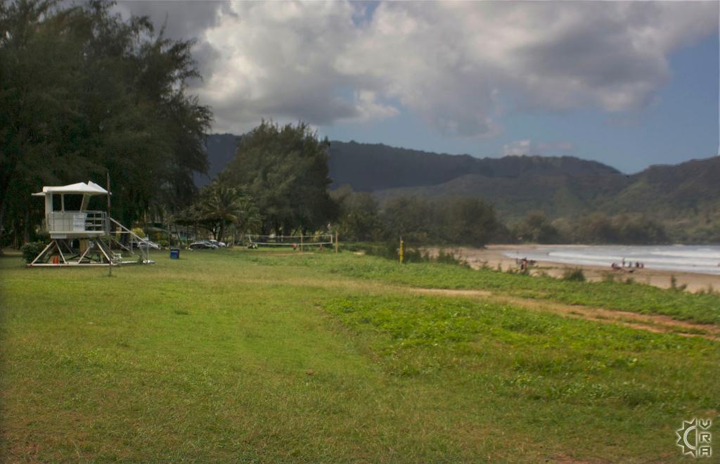 Pine Trees aka Waioli County Beach Park in Hanalei, Kauai, Hawaii