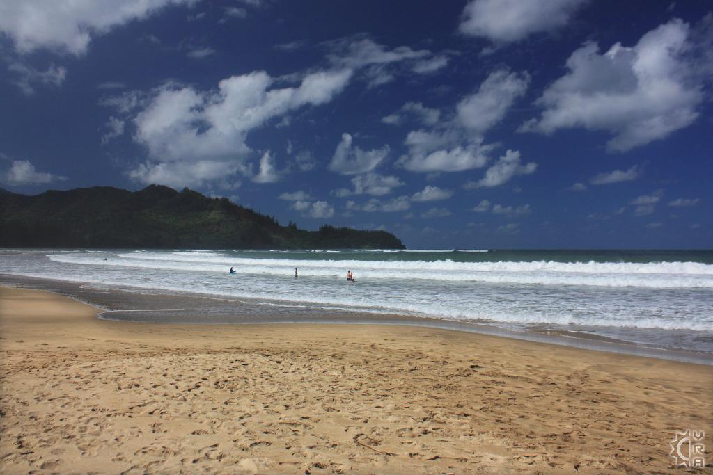 Pine Trees aka Waioli County Beach Park in Hanalei, Kauai, Hawaii