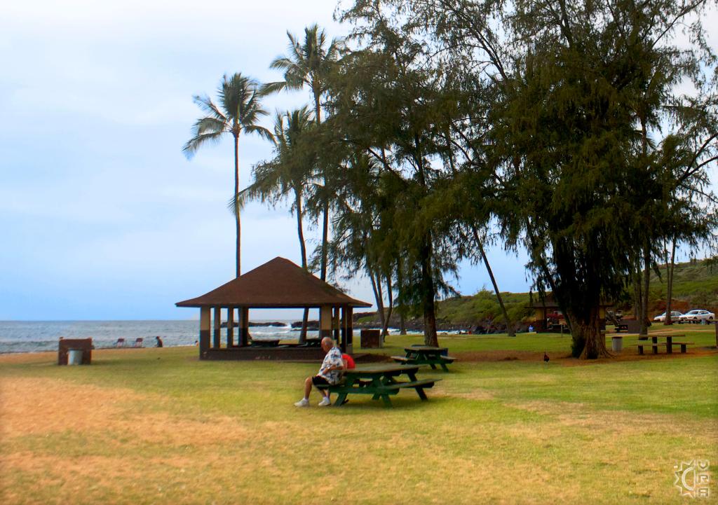 Salt Pond Beach Park Hanapepe in Kalaheo, Kauai, Hawaii Hawaiian Beach Rentals