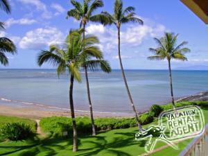 View from Lanai