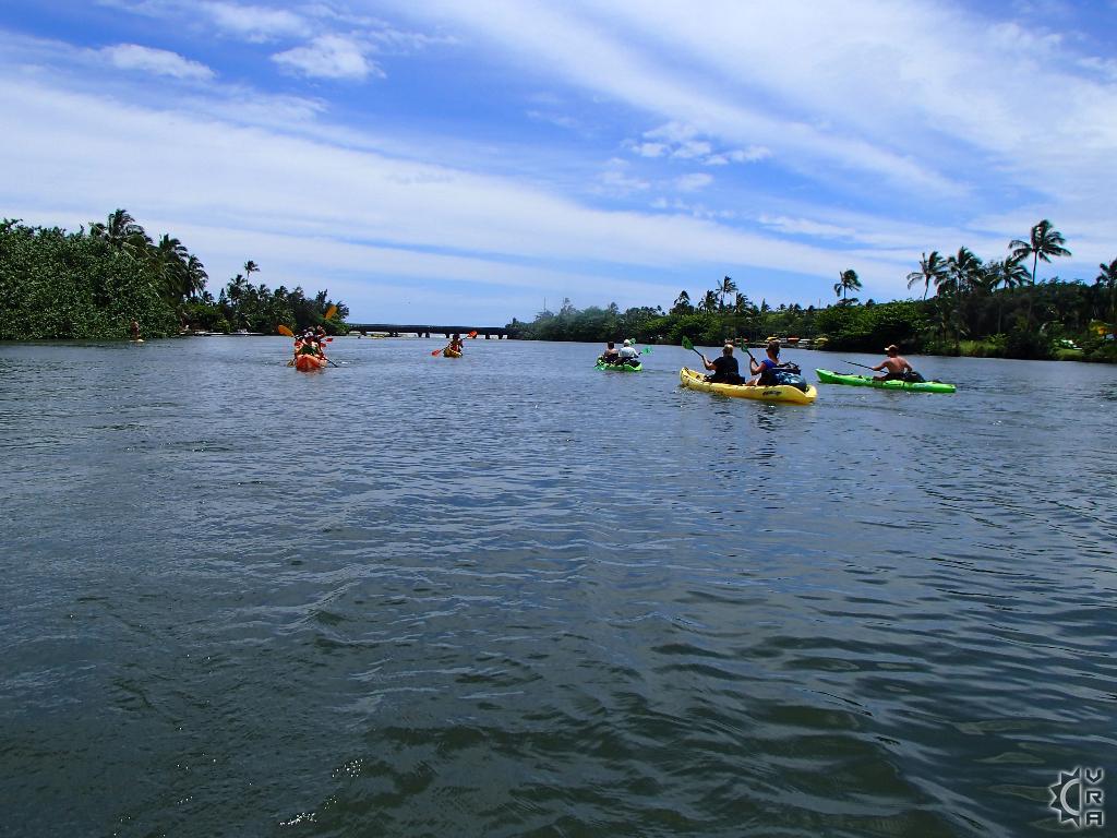 Wailua River Kayak to Uluwehi Falls in Wailua, Kauai, Hawaii Hawaiian