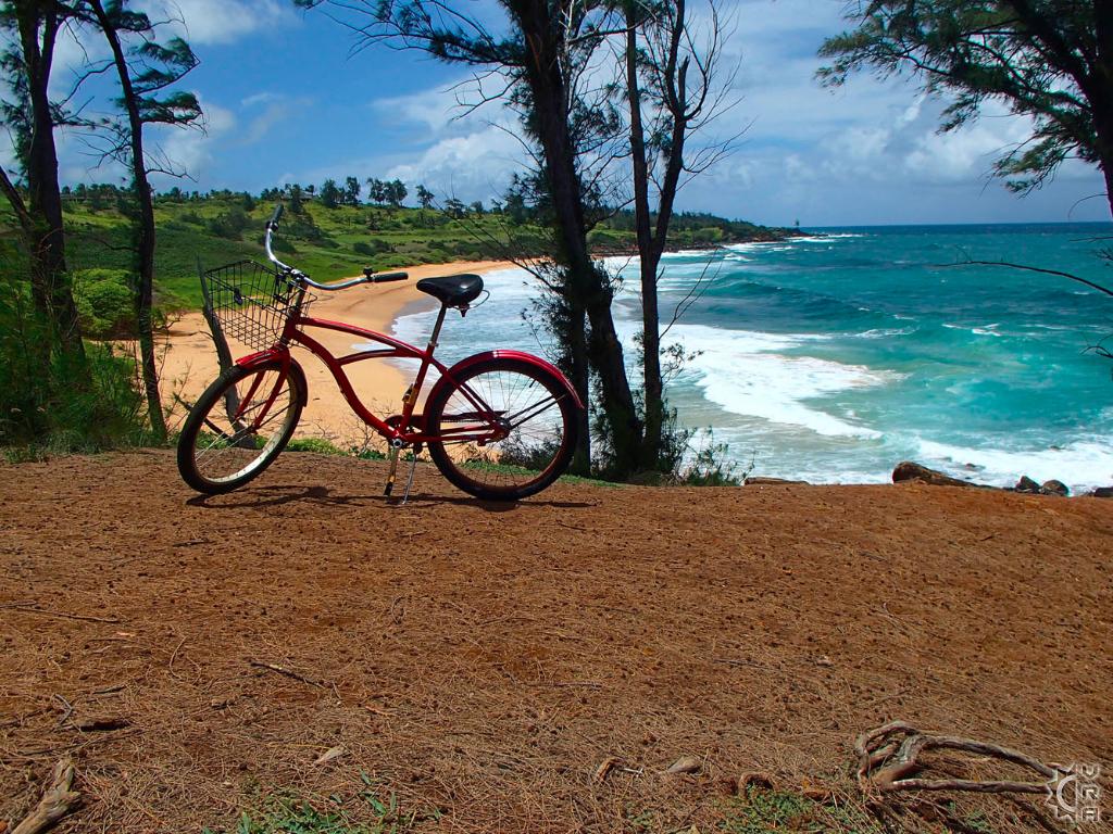 Bike the Coconut Coast aka Ke Ala Hele Makalae in Kapaa, Kauai, Hawaii