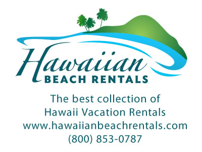 Tis the Season! We even decorate for the holidays!
